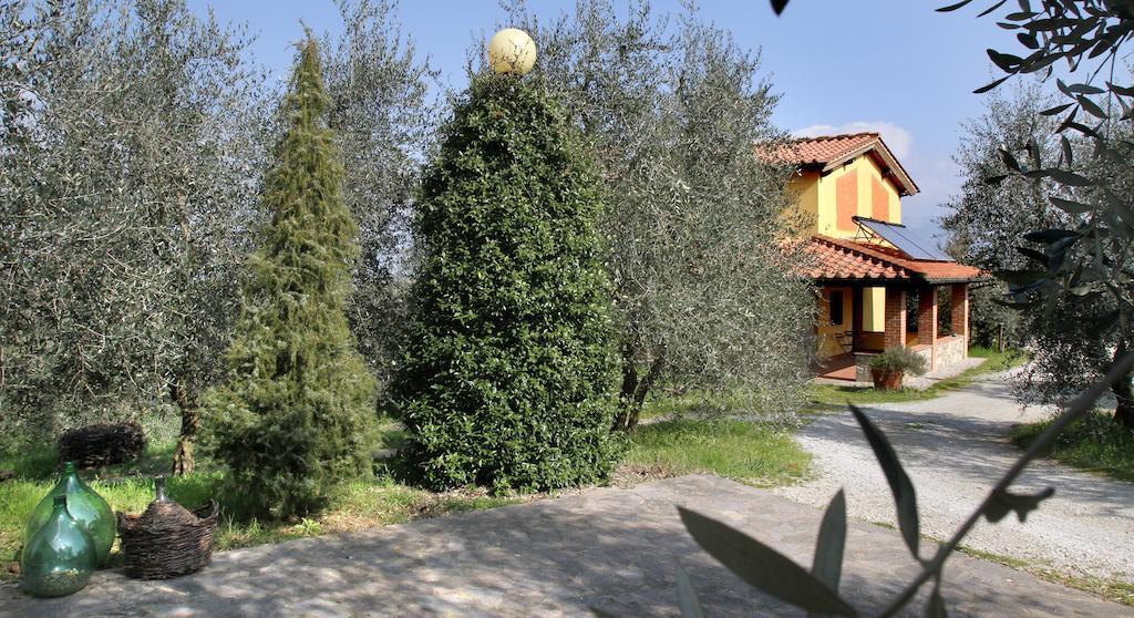 La Cuccuini *