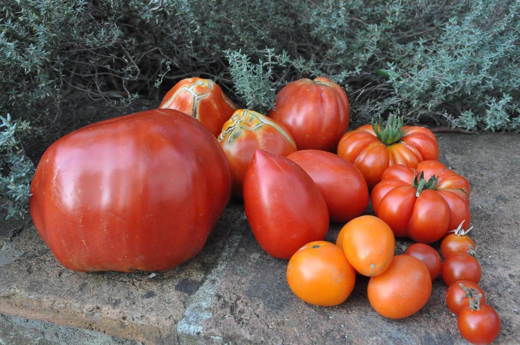La Cuccuini Séjour à la ferme *